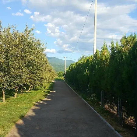 Дом отдыха Natural