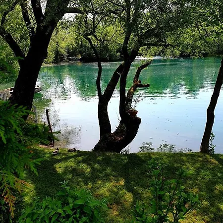 Natural * Бихач